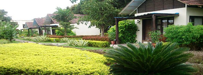 762/United-21 Vanvaso Gir - Gir National Park 04.jpg